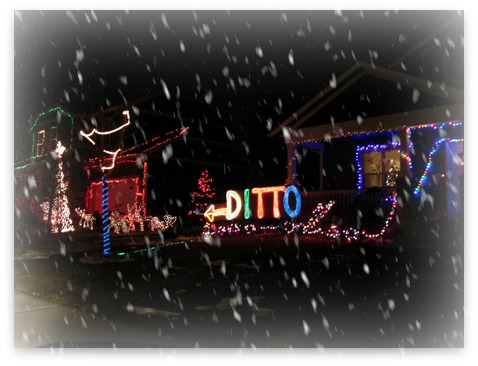 Ditto Christmas Lights in Colorado