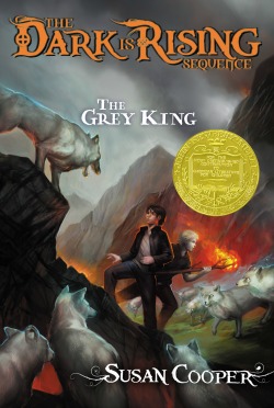 The Grey King book cover